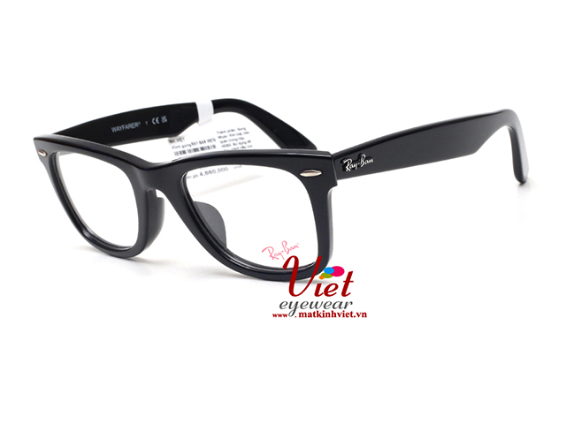 RayBan G15